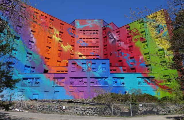 Butterfly Hospital May '20 - DSC01320.JPG