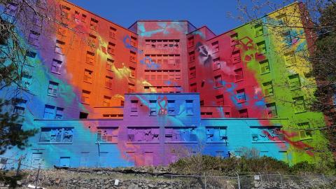 Butterfly Hospital May '20 - DSC01320.JPG