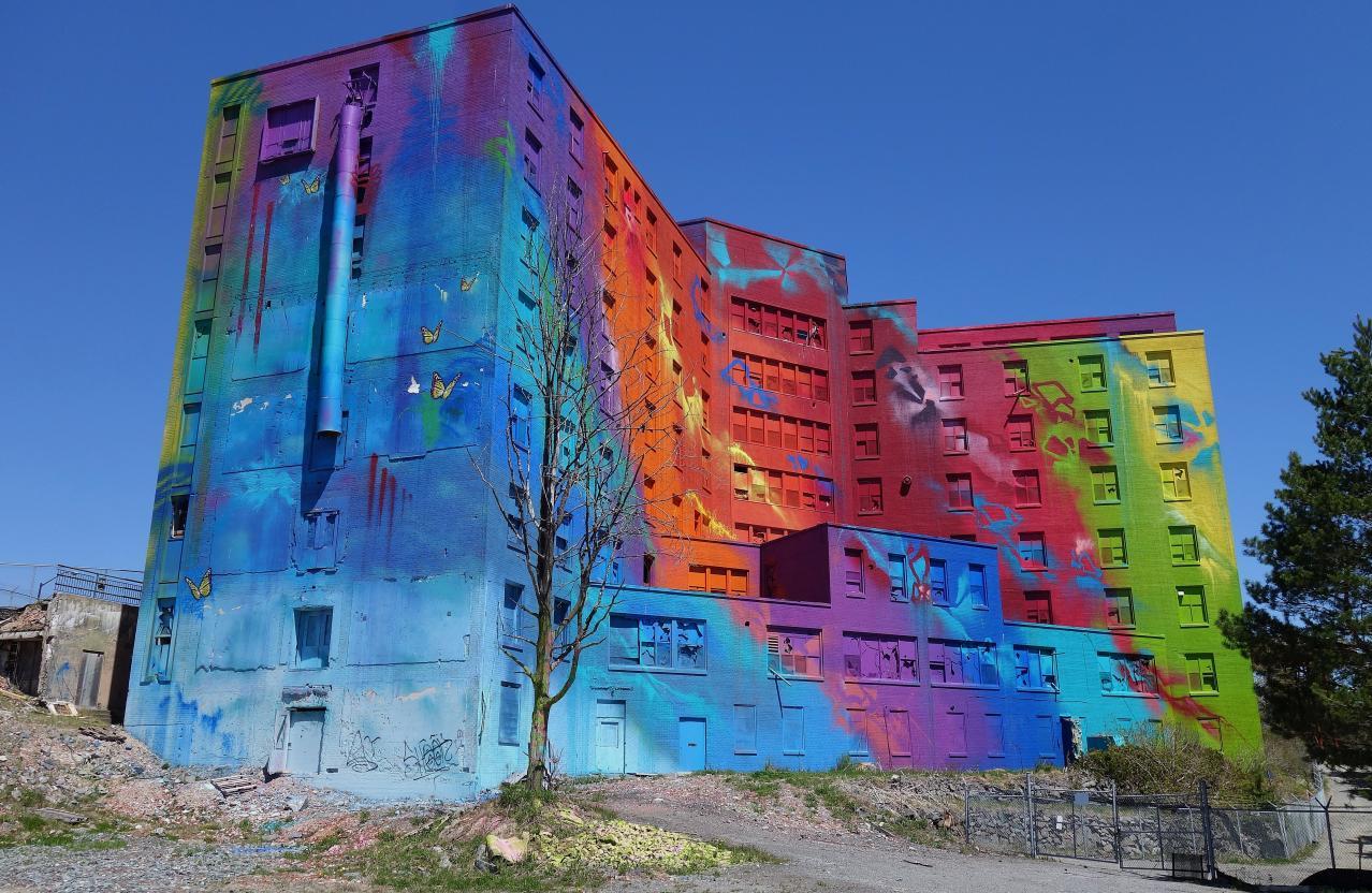 Butterfly Hospital May '20 - DSC01327.JPG