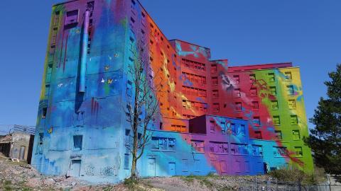 Butterfly Hospital May '20 - DSC01327.JPG