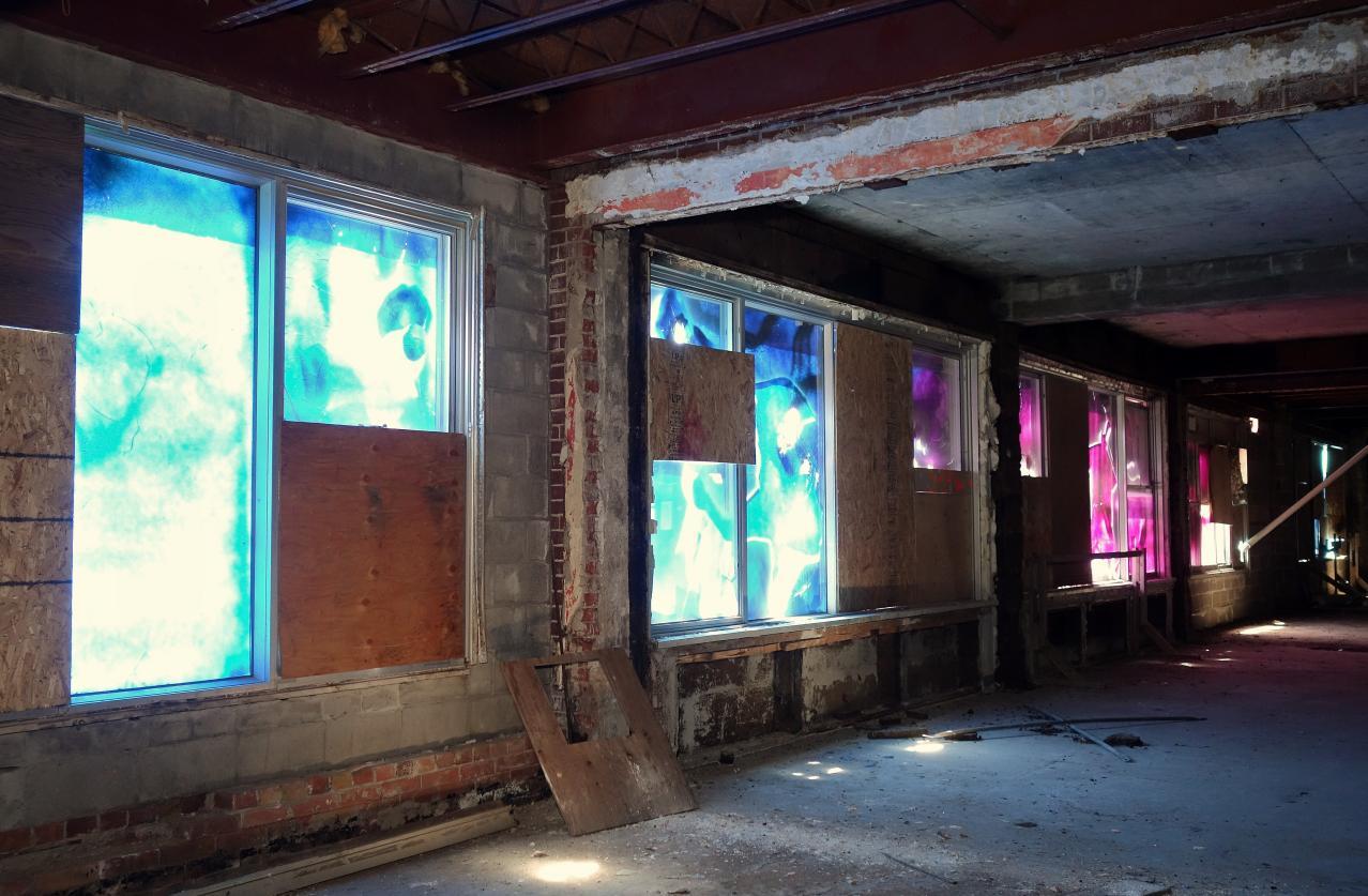 Butterfly Hospital May '20 - DSC01329.JPG