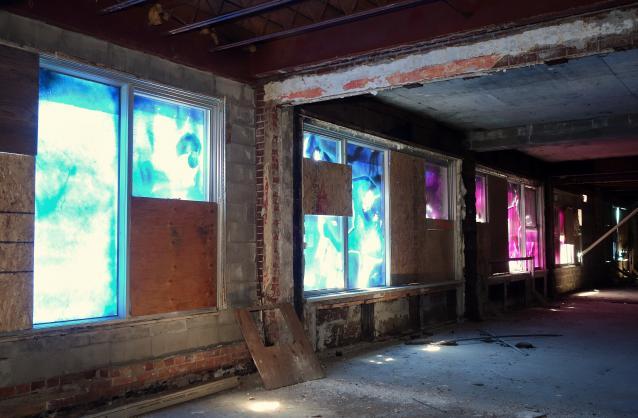 Butterfly Hospital May '20 - DSC01329.JPG