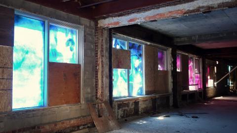 Butterfly Hospital May '20 - DSC01329.JPG