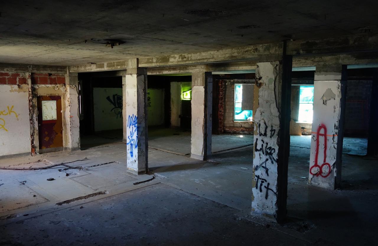 Butterfly Hospital May '20 - DSC01332.JPG