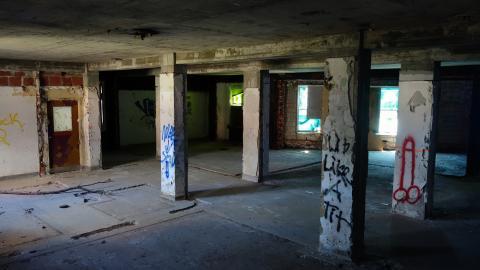 Butterfly Hospital May '20 - DSC01332.JPG