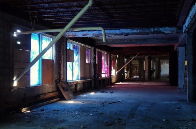 Butterfly Hospital May '20 - DSC01336.JPG