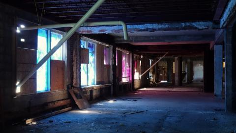 Butterfly Hospital May '20 - DSC01336.JPG