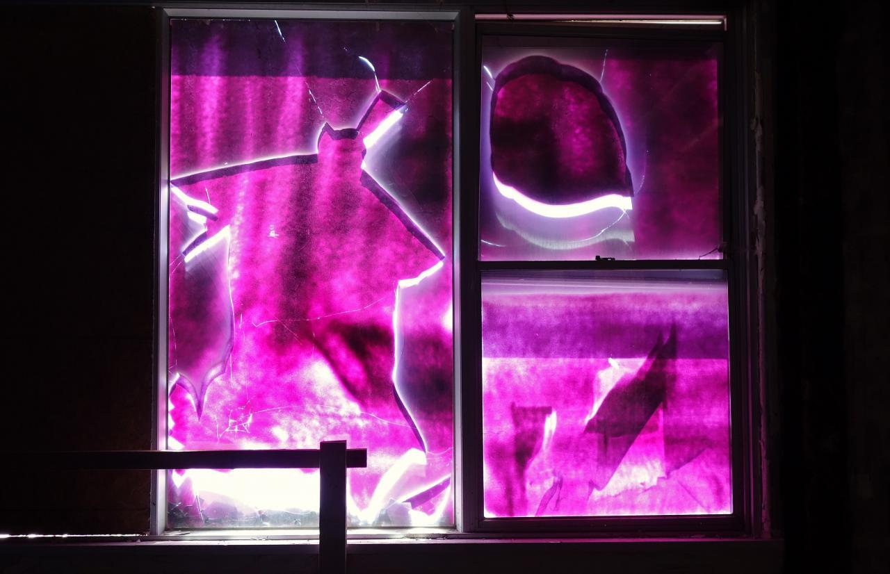 Butterfly Hospital May '20 - DSC01340.JPG