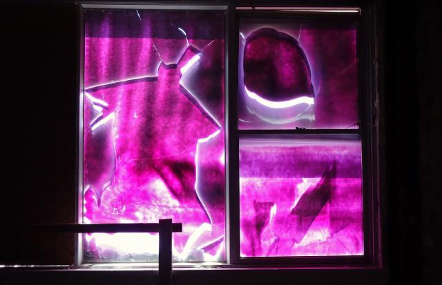 Butterfly Hospital May '20 - DSC01340.JPG