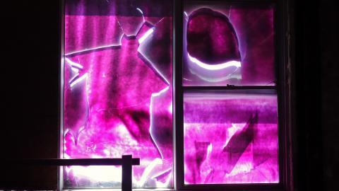 Butterfly Hospital May '20 - DSC01340.JPG