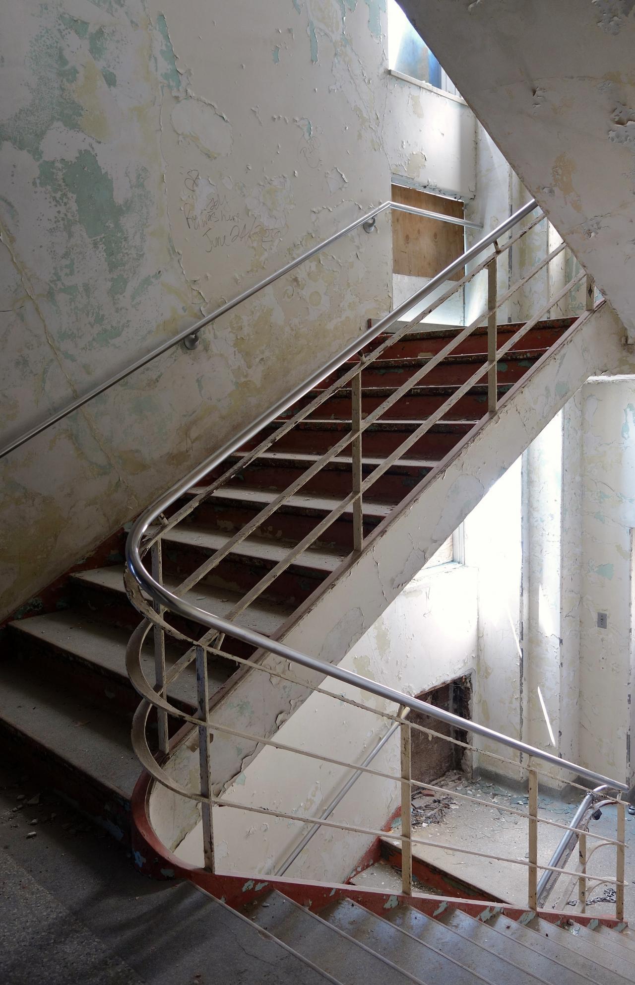 Butterfly Hospital May '20 - DSC01348.JPG