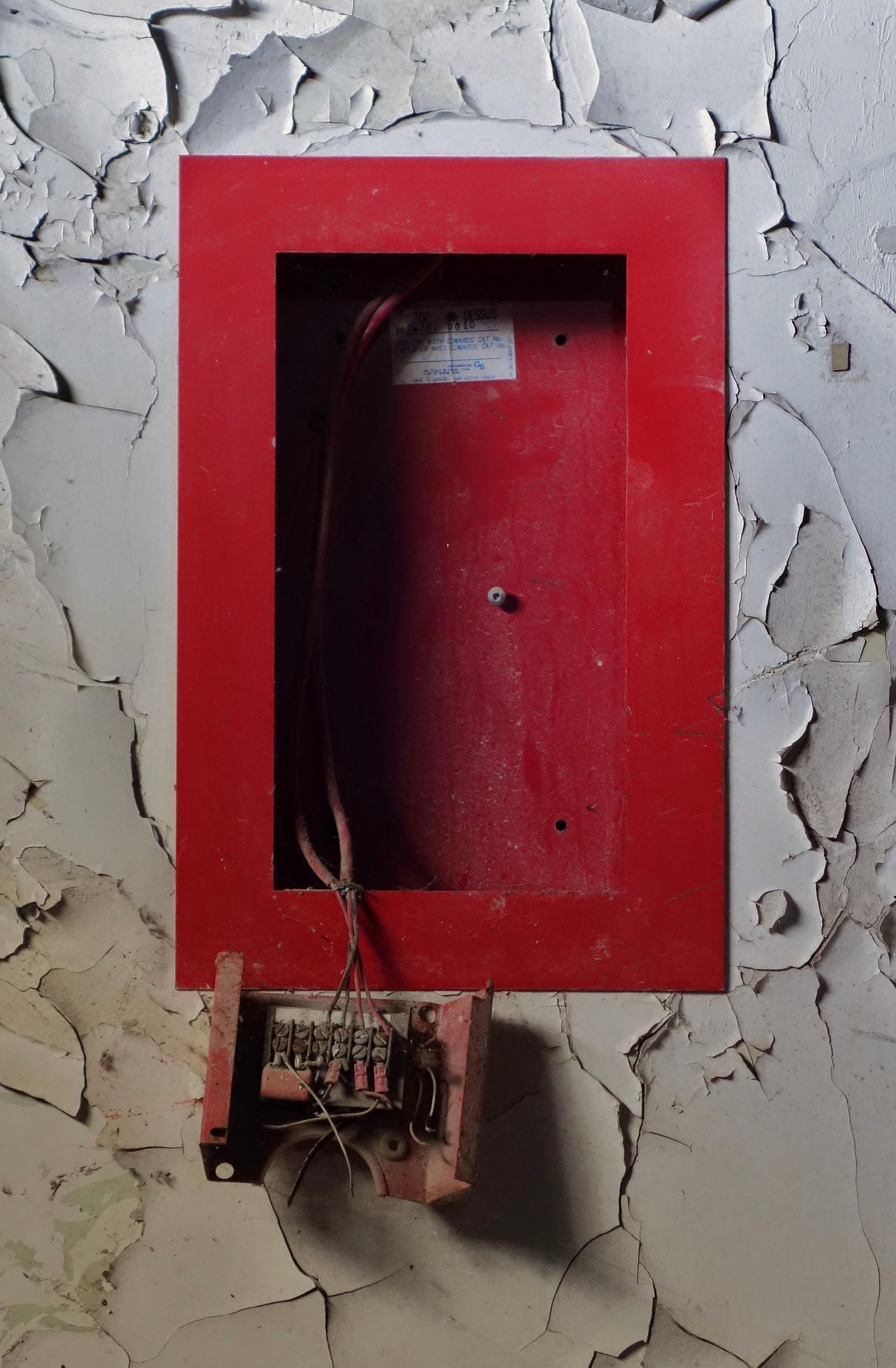 Butterfly Hospital May '20 - DSC01350.JPG