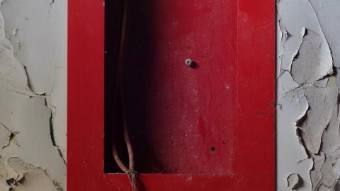 Butterfly Hospital May '20 - DSC01350.JPG