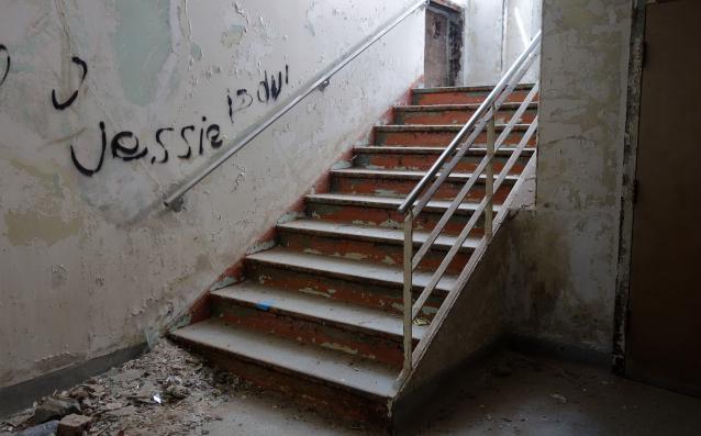 Butterfly Hospital May '20 - DSC01352.JPG