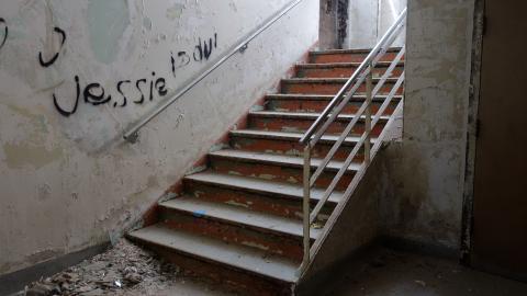 Butterfly Hospital May '20 - DSC01352.JPG