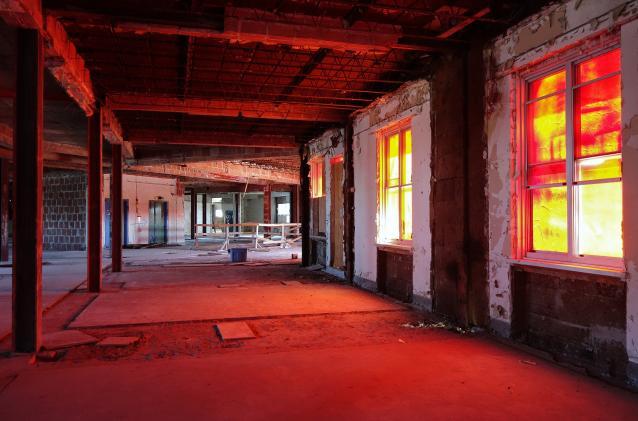 Butterfly Hospital May '20 - DSC01354.JPG