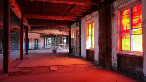 Butterfly Hospital May '20 - DSC01354.JPG