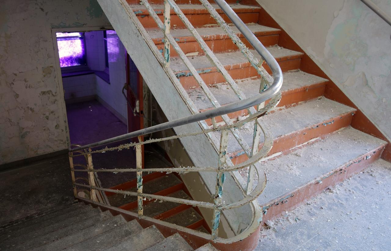 Butterfly Hospital May '20 - DSC01363.JPG