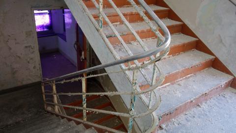 Butterfly Hospital May '20 - DSC01363.JPG