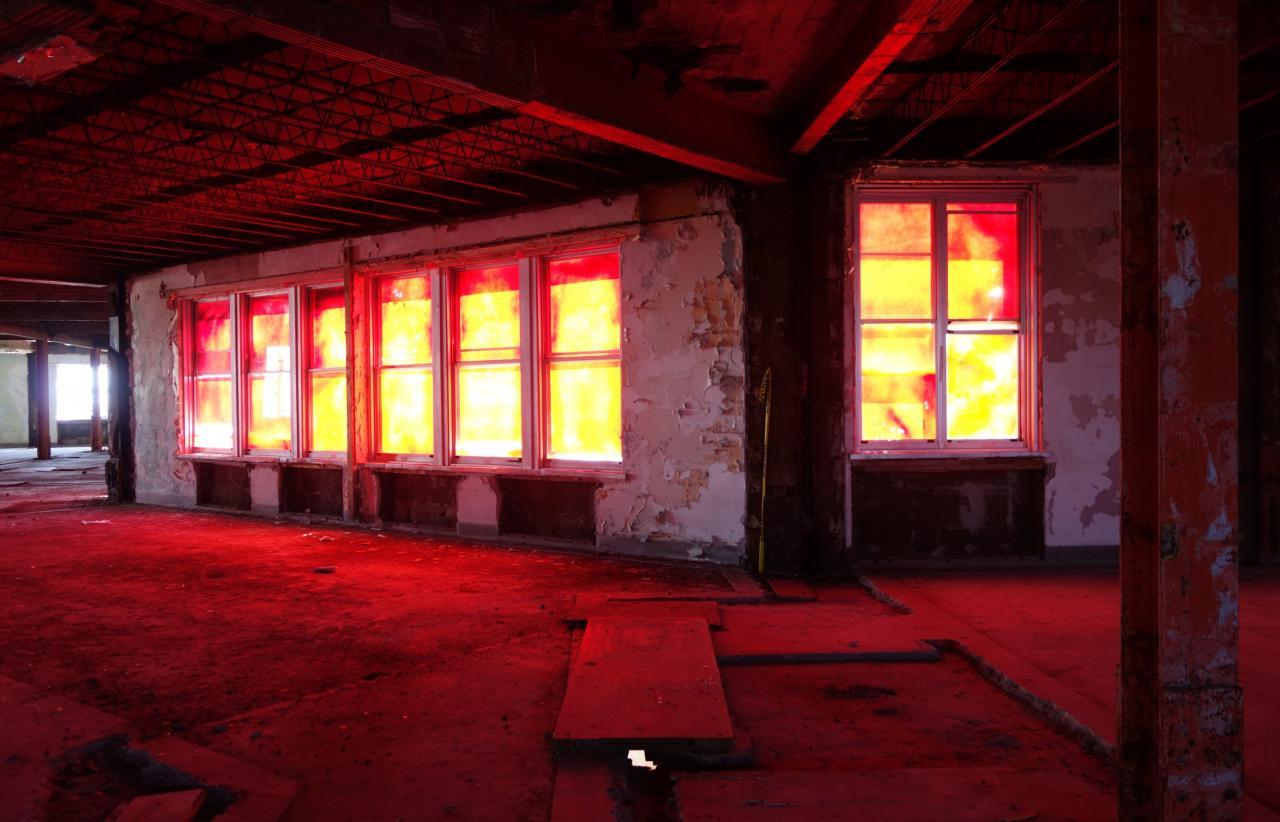 Butterfly Hospital May '20 - DSC01364.JPG