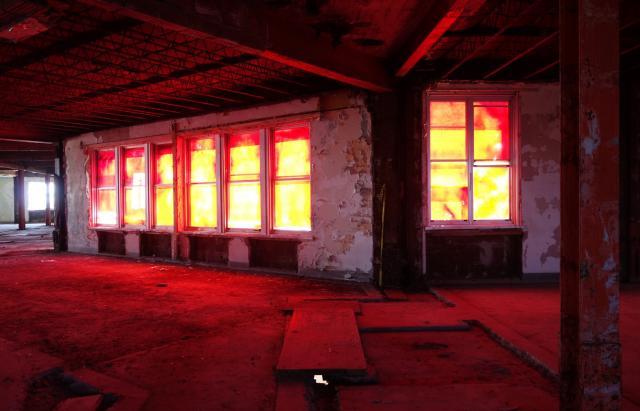 Butterfly Hospital May '20 - DSC01364.JPG