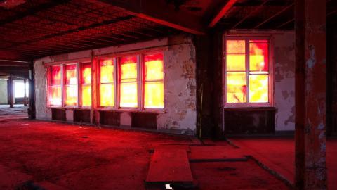 Butterfly Hospital May '20 - DSC01364.JPG