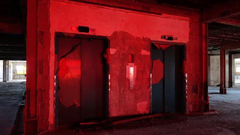 Butterfly Hospital May '20 - DSC01367.JPG