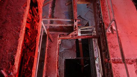 Butterfly Hospital May '20 - DSC01369.JPG