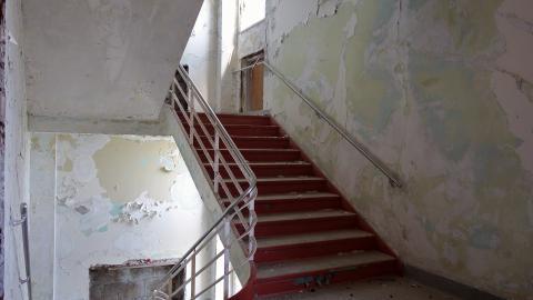 Butterfly Hospital May '20 cover photo