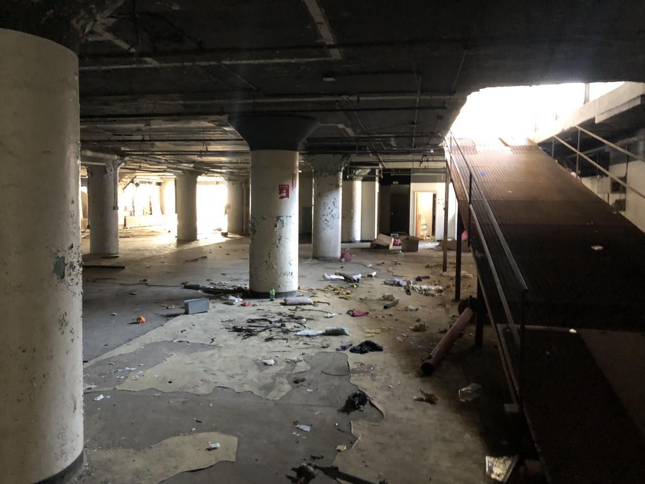 First Exploration - B3237E89-C9F1-42C0-8397-AF7AE1F7DEF4.jpeg