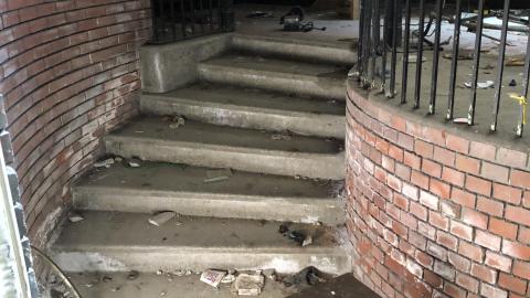 First Exploration - A2036B77-CBBA-44D4-9E84-E03C64B9035A.jpeg