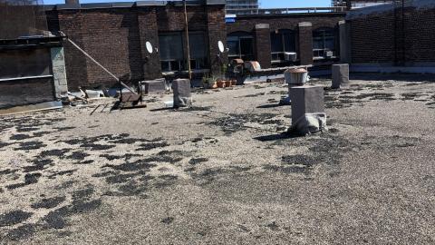 First Exploration - AA856AD2-4CE6-4BB2-AC88-F269EC529236.jpeg