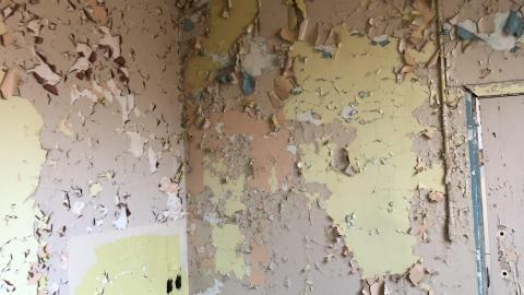 First Exploration - 2CABFF0D-01E3-441D-A452-79A13FDEB9F7.jpeg