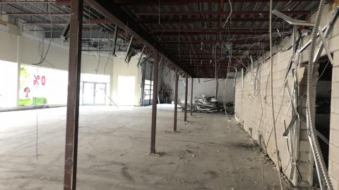 Early November, 2020 - 90DADB35-9300-4787-9A87-178EBCCF9C90.jpeg