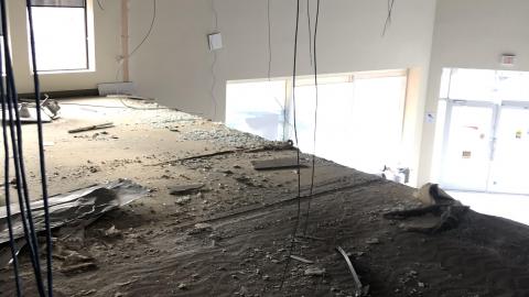 Early November, 2020 - 89234073-86A4-48AD-ADA8-A5C13FC423F5.jpeg