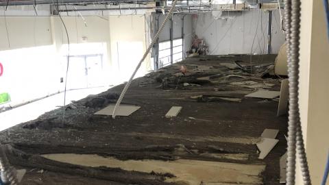 Early November, 2020 - CB2D5A09-5496-4709-A5C2-5563E150CCDF.jpeg