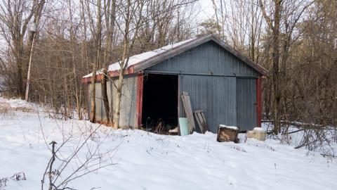 December 2020 - _DSC8967.jpg