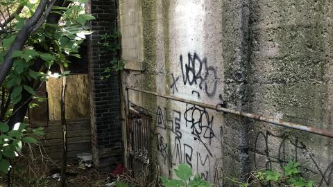 June 2020 - D33D364E-0F50-41B8-A232-EF4667D9D3AE.jpeg