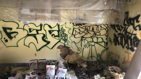 June 2020 - CE05F462-6B31-4C1C-8ECC-C5AD1C477521.jpeg