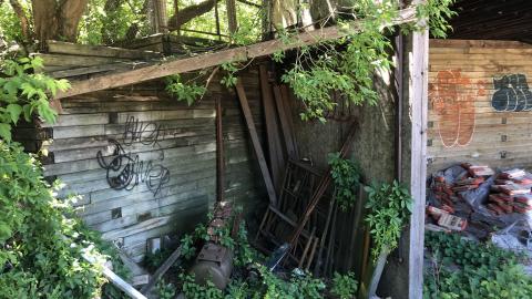 June 2020 - D1082C43-97C3-4AF4-BDCB-FE5346B18DEE.jpeg