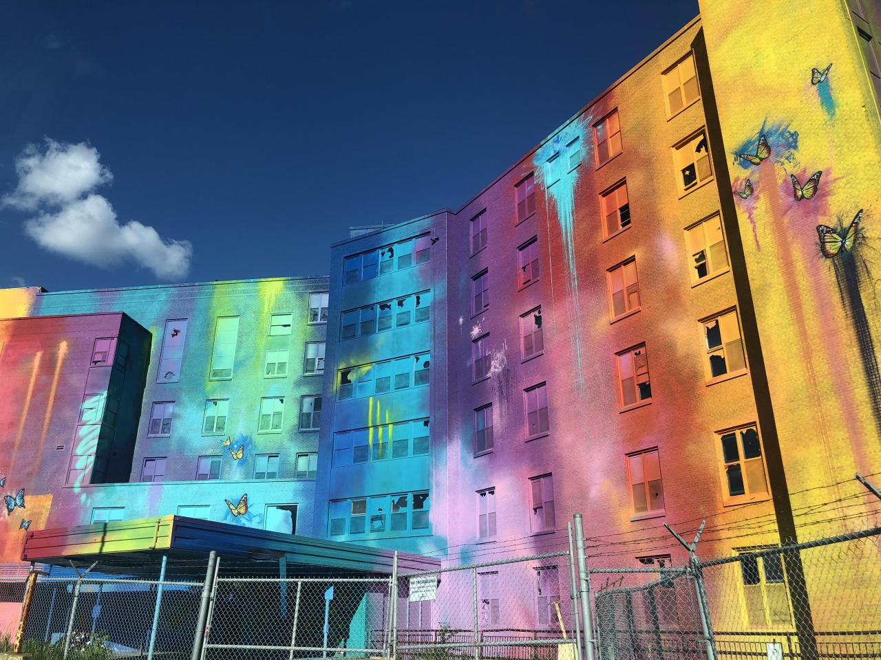 June 2020 - 26DCA171-6A2A-45ED-A579-90E848301D1B.jpeg