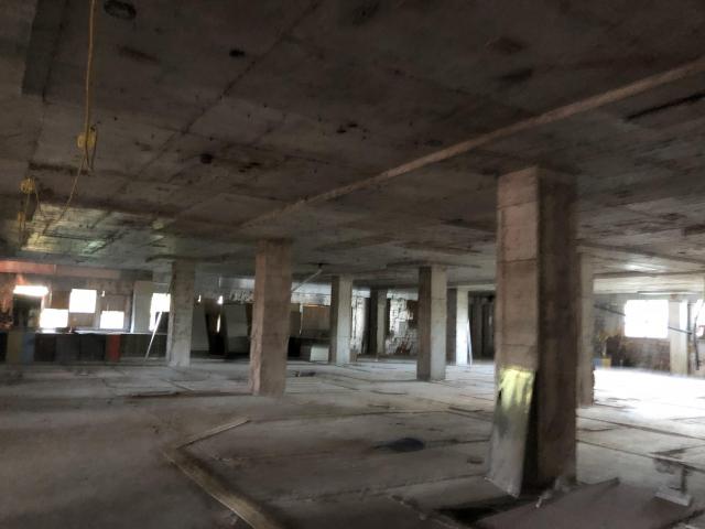 June 2020 - 9147E6C5-5E82-4473-91DE-41590317E7FC.jpeg