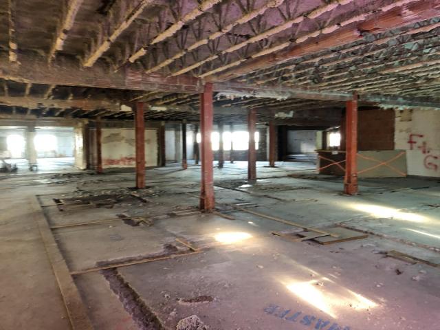 June 2020 - 57C75AF7-6B72-4328-8CEA-3891CF1AD0B7.jpeg