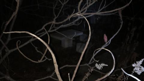 Trucker's House December 2020 - IMG_1406.JPG