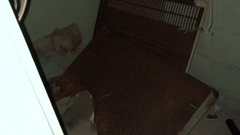 Trucker's House December 2020 - IMG_1424.JPG