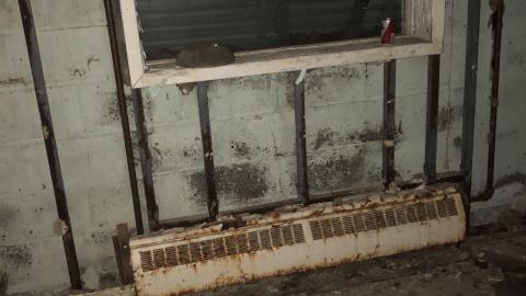 Trucker's House December 2020 - IMG_1427.JPG