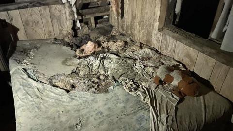 Trucker's House December 2020 - IMG_E1450.JPG