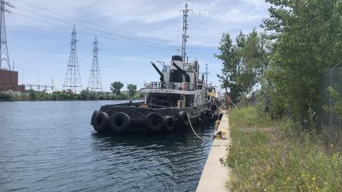 Early July 2020 - 2AFE9FAD-E3D7-484B-A662-7251A98C671B.jpeg