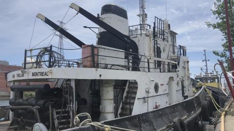 Early July 2020 - 827B74BE-91F3-4100-965B-7FEC6188C1F0.jpeg