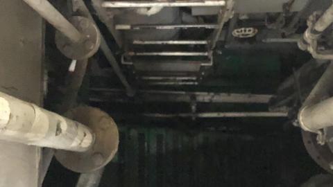 Early July 2020 - 141F0EDC-4844-467A-89C8-40671C1F2BE7.jpeg